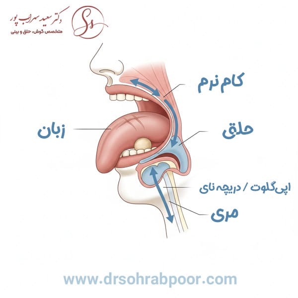 بلع بعد از جراحی زبان + دکتر سعید سهراب پور